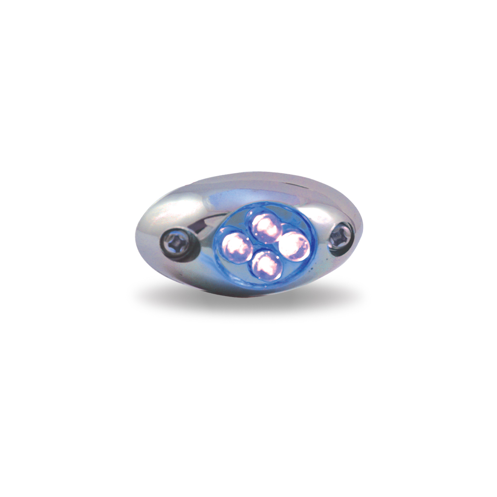 Blue LED Courtesy Light – 4 Diodes