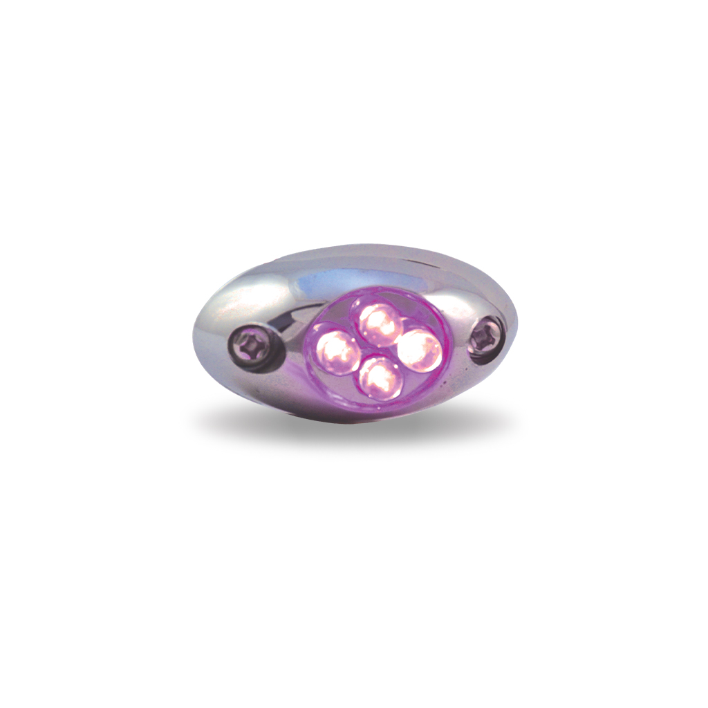 Purple LED Courtesy Light – 4 Diodes